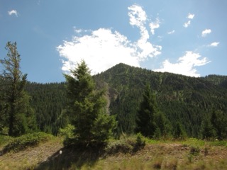 IMG_1653.jpg