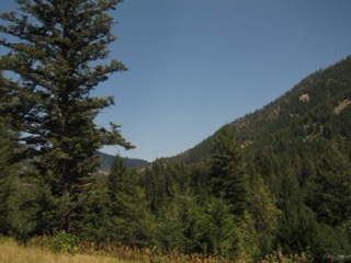 IMG_1656.jpg