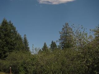 IMG_1657.jpg