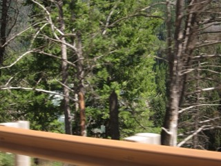 IMG_1658.jpg