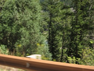 IMG_1659.jpg