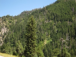 IMG_1661.jpg