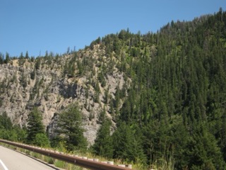 IMG_1662.jpg