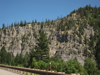IMG_1663.jpg