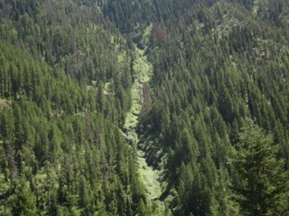 IMG_1664.jpg