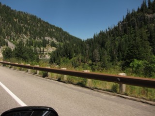 IMG_1665.jpg