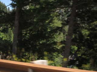 IMG_1667.jpg