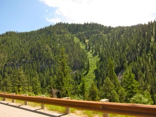 IMG_1668.jpg