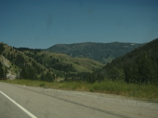 IMG_1675.jpg