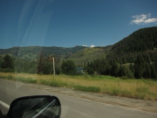 IMG_1684.jpg