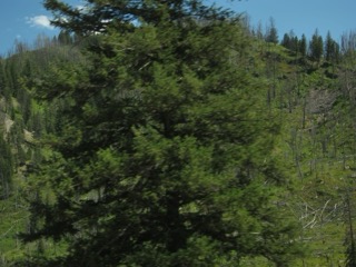 IMG_1686.jpg