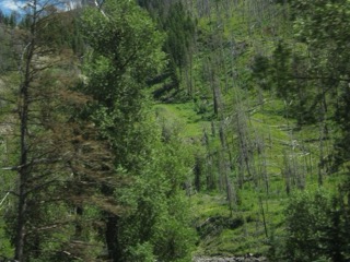 IMG_1687.jpg