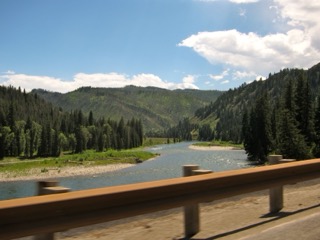 IMG_1690.jpg