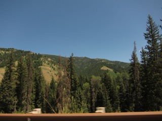 IMG_1692.jpg