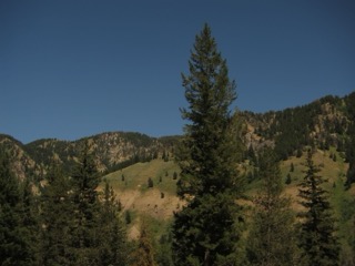 IMG_1694.jpg