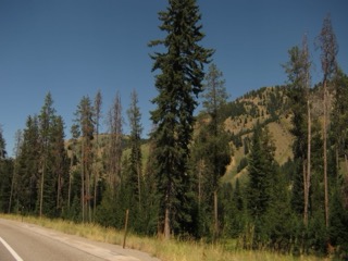 IMG_1695.jpg