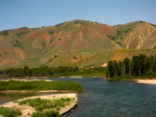 IMG_1699.jpg