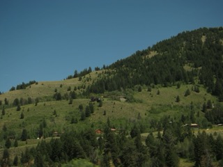 IMG_1705.jpg