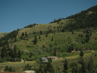 IMG_1706.jpg