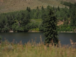 IMG_1718.jpg
