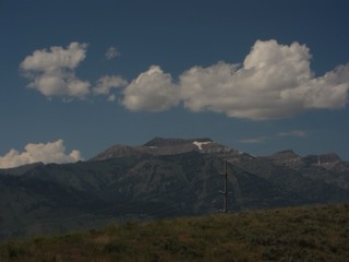 IMG_1721.jpg