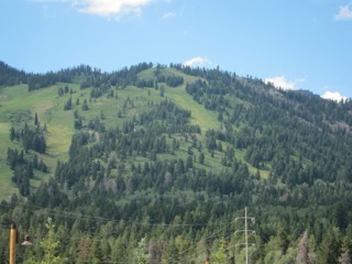 IMG_1736.jpg