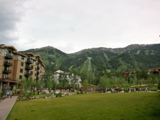 IMG_1738.jpg