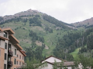 IMG_1739.jpg