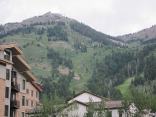 IMG_1740.jpg