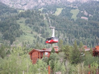 IMG_1743.jpg