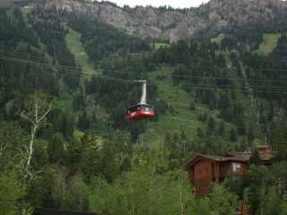 IMG_1744.jpg