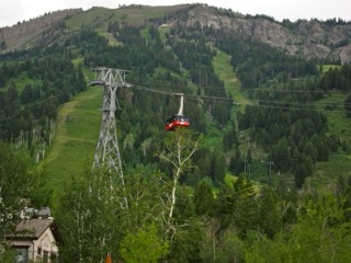 IMG_1746.jpg