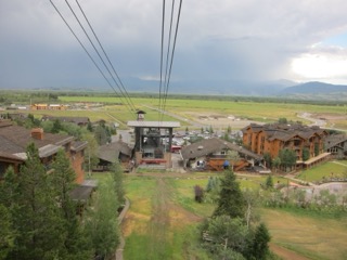 IMG_1754.jpg