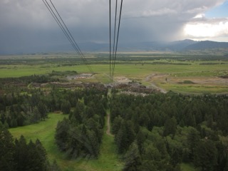 IMG_1761.jpg