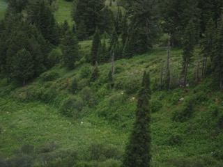 IMG_1765.jpg