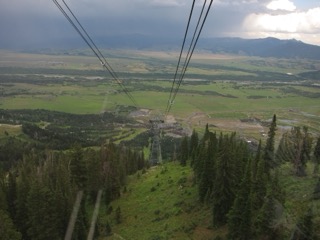 IMG_1768.jpg