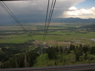 IMG_1769.jpg