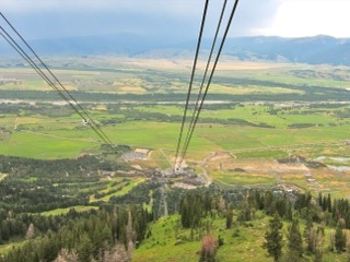 IMG_1770.jpg