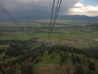 IMG_1771.jpg