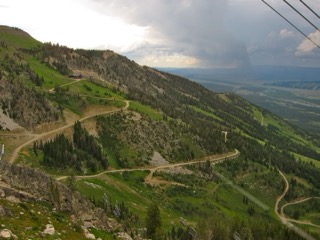 IMG_1773.jpg