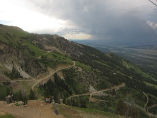 IMG_1774.jpg