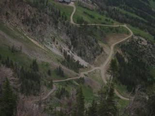 IMG_1781.jpg