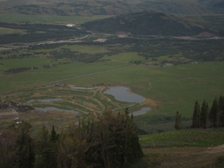 IMG_1782.jpg