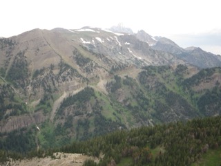 IMG_1784.jpg