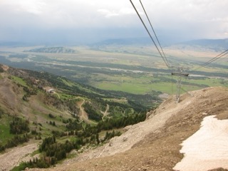 IMG_1790.jpg