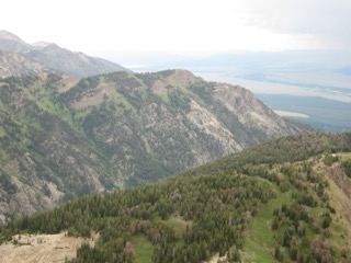 IMG_1797.jpg