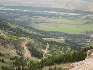 IMG_1798.jpg
