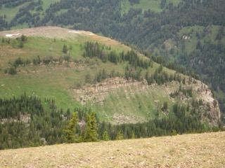 IMG_1811.jpg