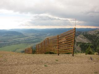 IMG_1813.jpg