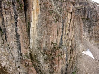 IMG_1835.jpg